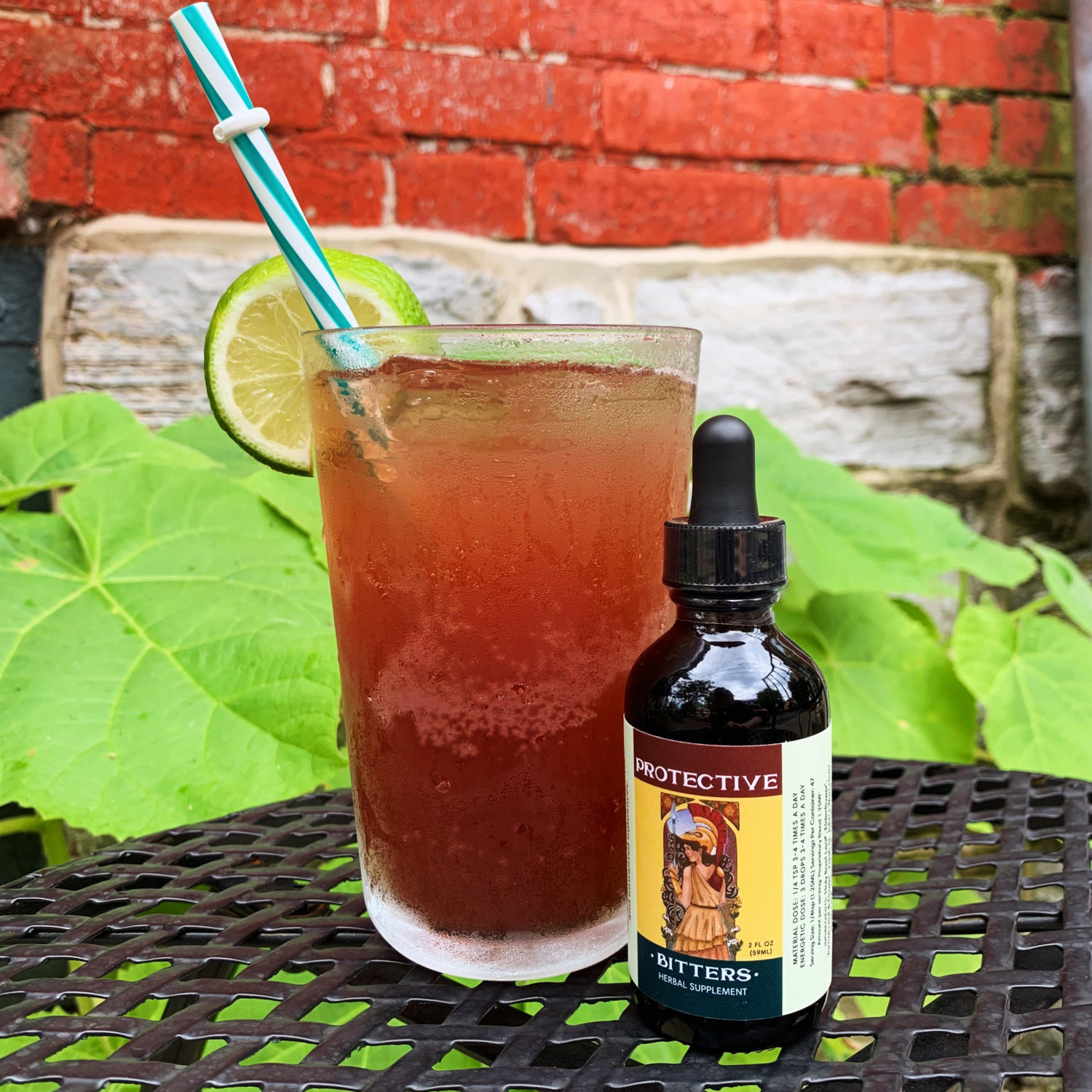 Elderberry Ginger Sparkler Tonic Herb Shop