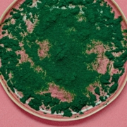 spirulina powder