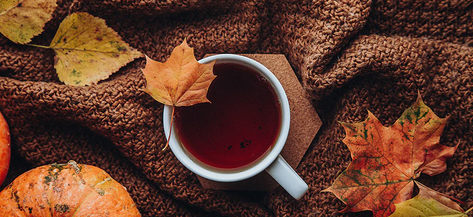 caley-dimmock-_HCpwe1-Prc-unsplash_1200x1200